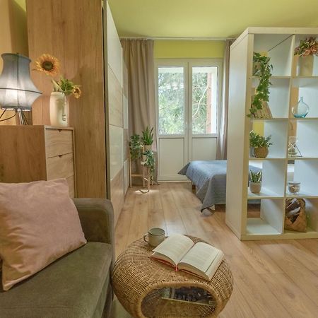 Apartament Premium Salt 威利兹卡 外观 照片