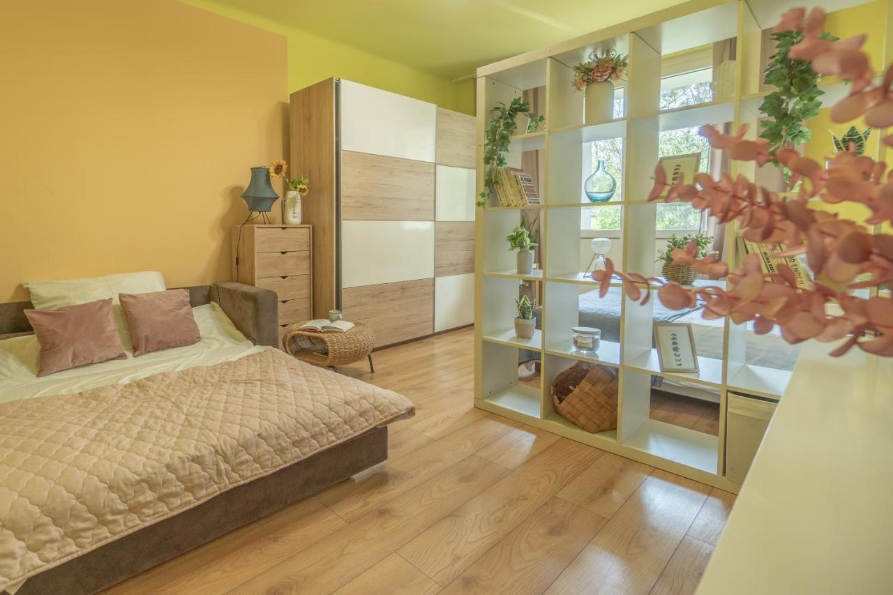 Apartament Premium Salt 威利兹卡 外观 照片